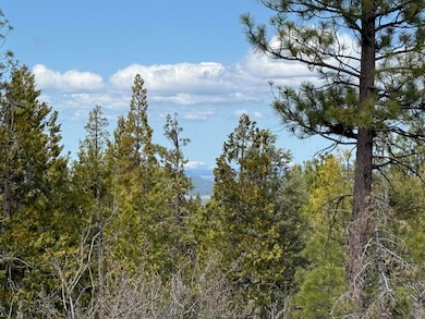 0 Yellowjacket Spring Rd unit 220202108, Beatty, OR 97621 - photo 2