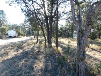 Roundup Rd (5)