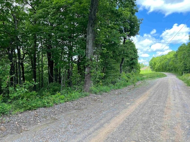 TBD Lick Fork Rd, Witt Springs, AR 72686 - photo 2