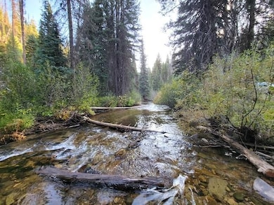 Financing Miningclaim Ownership, Idaho City, ID 83631 - photo 5