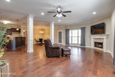 2077 Jefferson Pkwy, Hernando, MS 38632 - photo 4