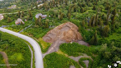 DJI_0854
