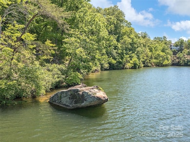 Lot 14 S Cove Rd, Mill Spring, NC 28756 - photo 7