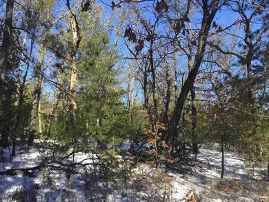 L41 Cranberry Creek Rd, Cutler, WI 54618 - photo 5