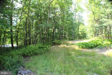 15.44 Acres High Knob Rd, Old Fields, WV 26845 - photo 4