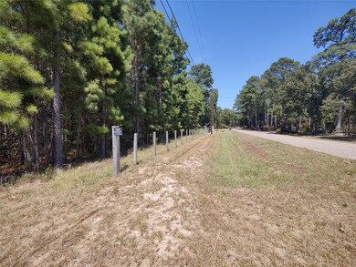 0 Fantail, Magnolia, TX 77355 - photo 4