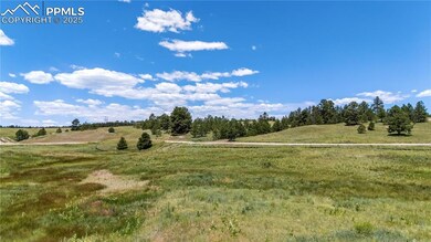 10438 Alamar Way, Black Forest, CO 80908 - photo 4