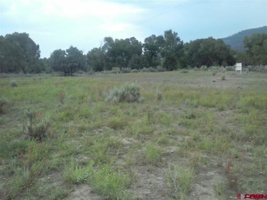 32651 County Road 500, Pagosa Springs, CO 81147 - photo 2