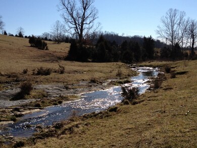 Sheep Creek - View 2