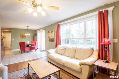 4515 W Tilley Ct, Peoria, IL 61615 - photo 6