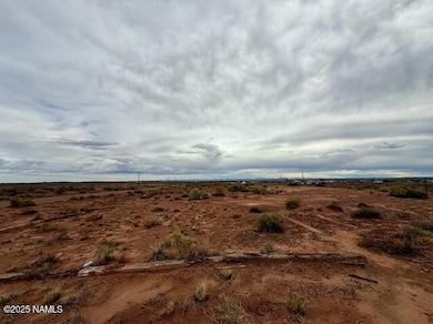 58 Well Field Rd, Winslow, AZ 86047 - photo 6