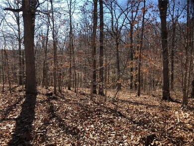 0 Hornsea Ln, Bella Vista, AR 72714 - photo 2