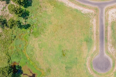 Lot 46 Richland Cove, Corsicana, TX 75109 - photo 6