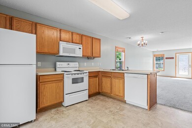 1900 Pika Trail unit C, River Falls, WI 54022 - photo 7