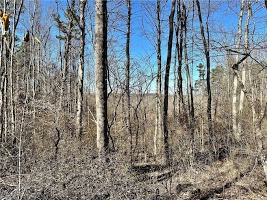0 Fisher Ridge Rd Tract 2, Fleming, OH 45729 - photo 5