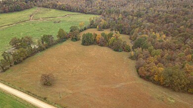 480 County Road 480, Poplar Bluff, MO 63901 - photo 6