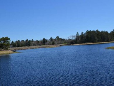 n 9258 Narrow Path Way, Tomahawk, WI 54487 - photo 3