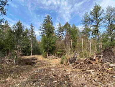 0 Cold River Rd unit M248 L 13-1, Acworth, NH 03601 - photo 3