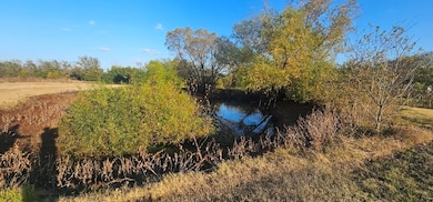 8079 Harden Oaks, Quinlan, TX 75474 - photo 4