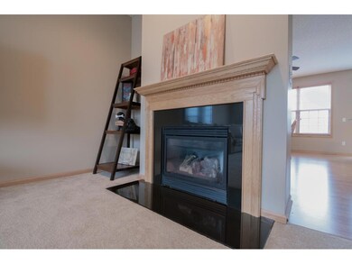 Gas Fireplace with Granite surround