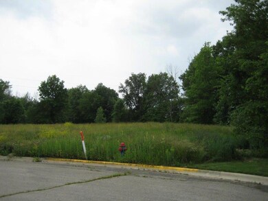 0 Wedgewood Ct unit Lot  4, Marysville, OH 43040 - photo 2