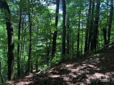 000 N Blue Ridge Pkwy E unit 167, Jefferson, NC 28640 - photo 4