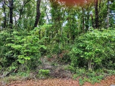 TBD NE 155th Ct, Williston, FL 32696 - photo 2