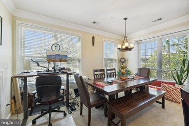 1735 Braddock Place unit 301, Alexandria, VA 22302 - photo 4