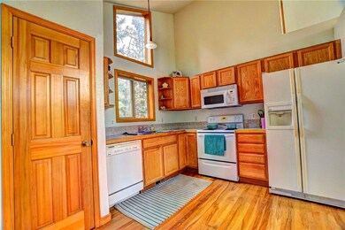 292 Mustang Trail, Como, CO 80432 - photo 3