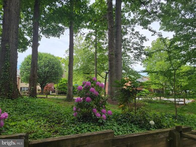 8346 Forrester Blvd unit 453, Springfield, VA 22152 - photo 4