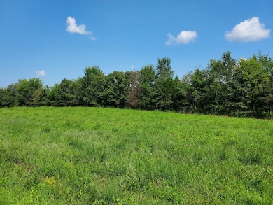 0 Sulphur Creek Rd unit RTC3041581, Big Sandy, TN 38221 - photo 5