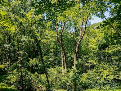 Peek-a-boo views get better in the winter.