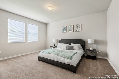8811 White Crown, San Antonio, TX 78254 - photo 5