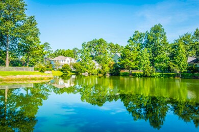 Pond