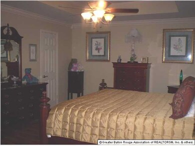 Large Master Bedroom with Walk-In Closet