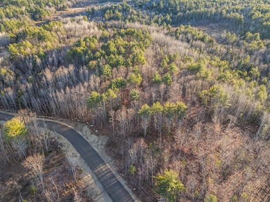 Lot 3 Pine Hill Rd, Palermo, ME 04354 - photo 3