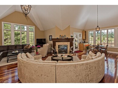 Spectacular Great Room with Soaring Ceilings, Natu