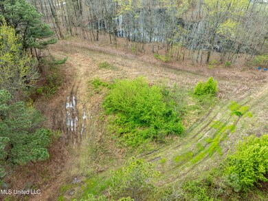 560 N Malone, Hernando, MS 38632 - photo 4