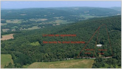 unlisted-address, Schenevus, NY 12155 - photo 3