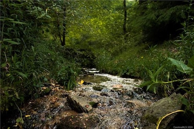 Small creek on the back property line
