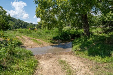 Stream