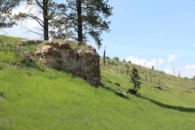 20.57 acres Custer Limestone Rd, Crazy Horse, SD 57730 - photo 3