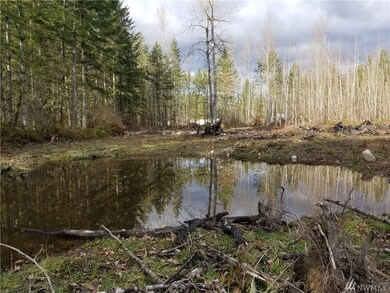 1417 394th St S, Roy, WA 98580 - photo 5