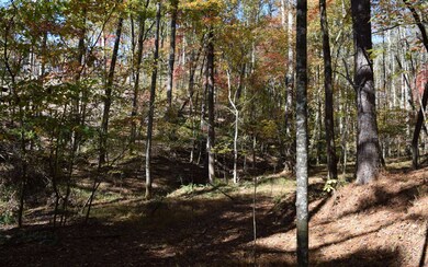 Additional View