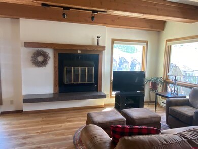 11 Snowmass Rd unit 532, Mt. Crested Butte, CO 81225 - photo 7