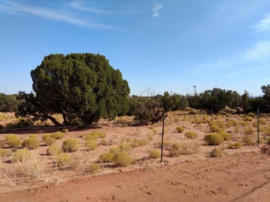 IMG_20201008_142942206