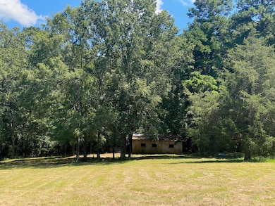 pic 3