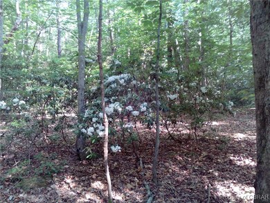View of woods