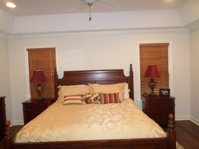 Tray Ceilings In Main Bedroom