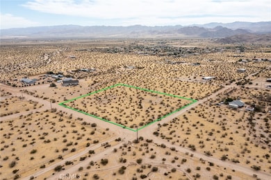 4225 Benji Ave, Joshua Tree, CA 92252 - photo 5